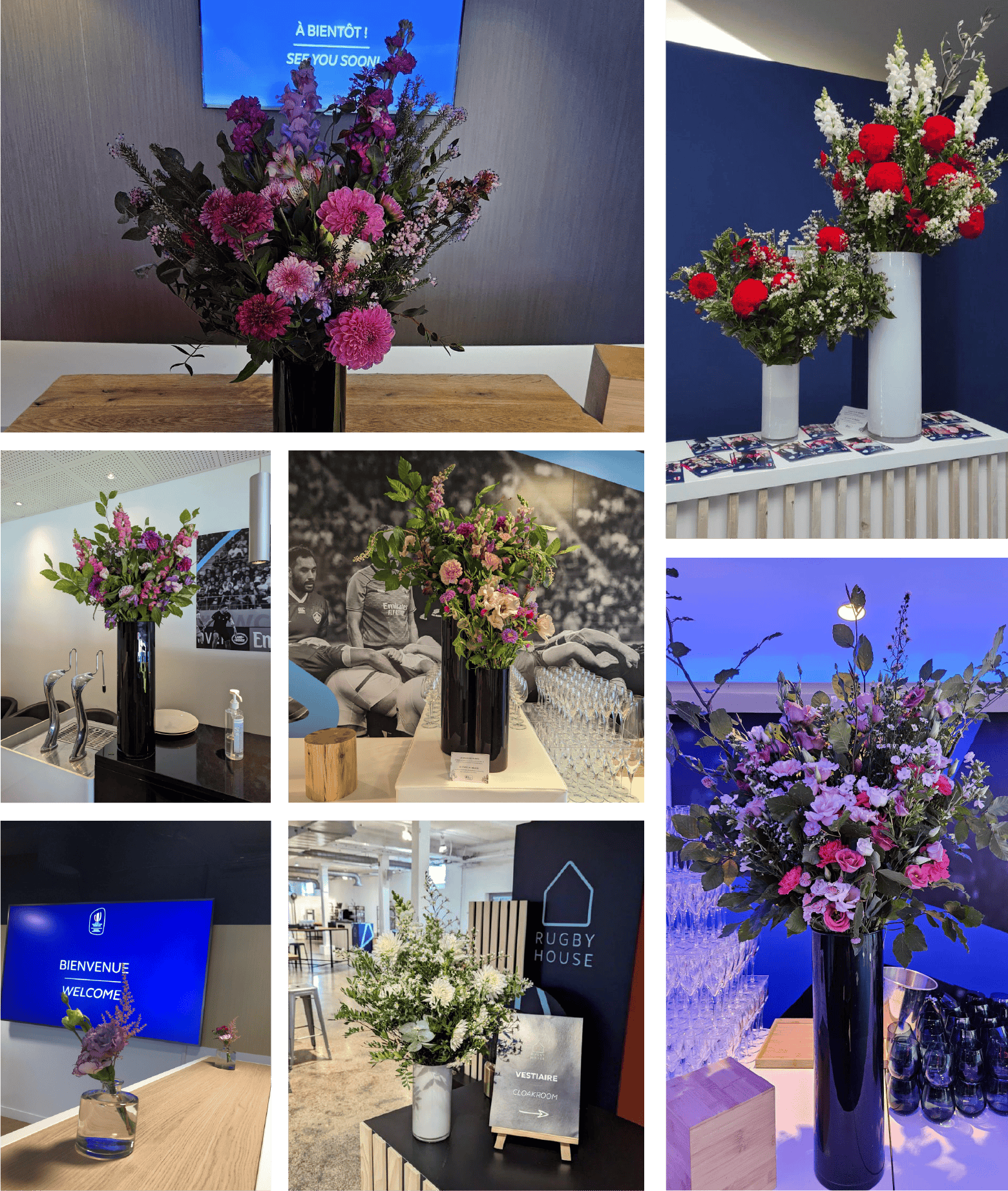 Rugby World Cup 2023